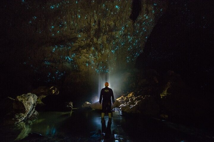 Waitomo Glow Worm Caves - Photo 1 of 7